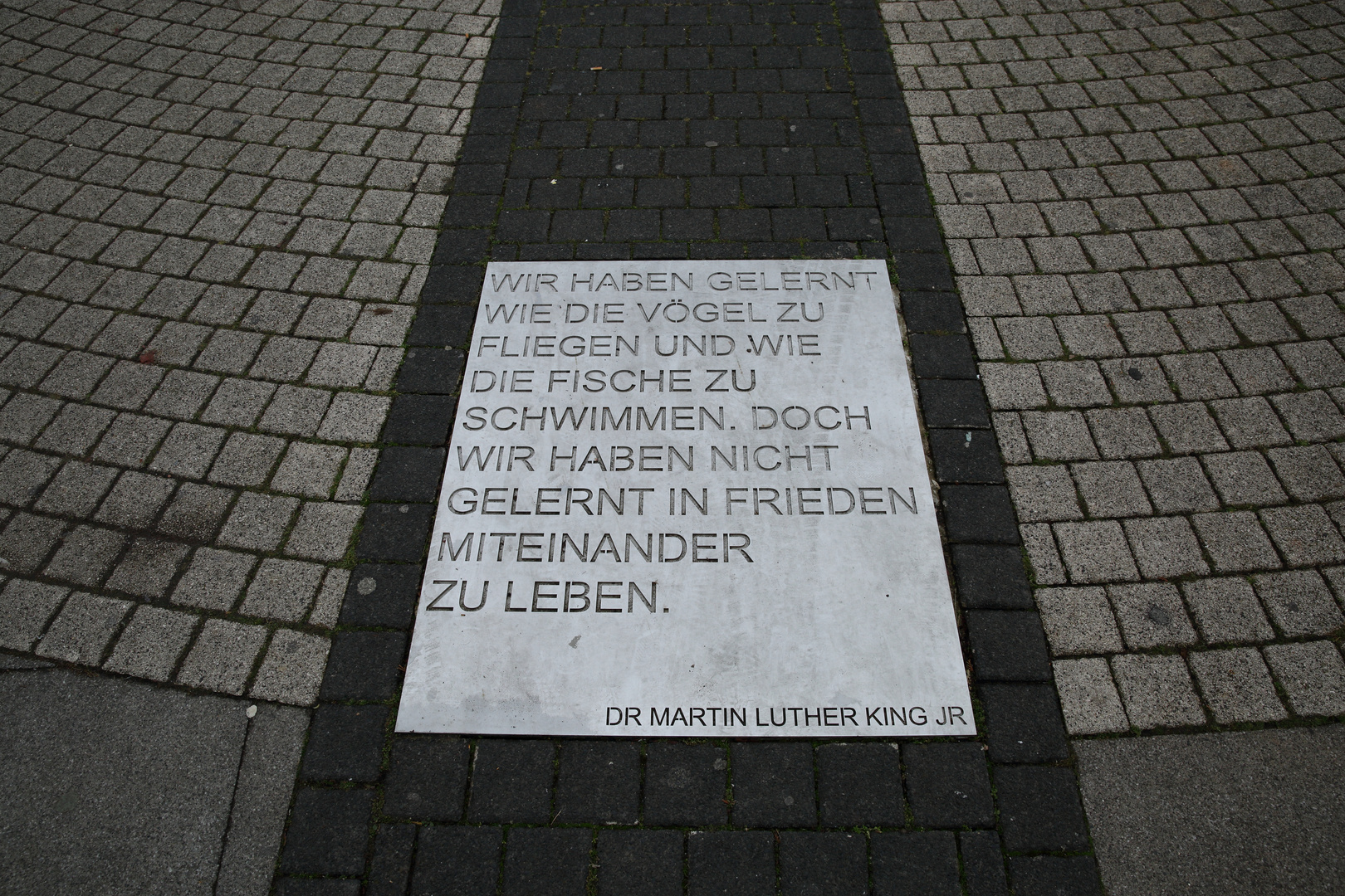 Zitat Dr. Martin Luther King