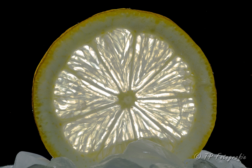 Zitrone Auf Eis