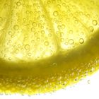 Zitrone - Lemon