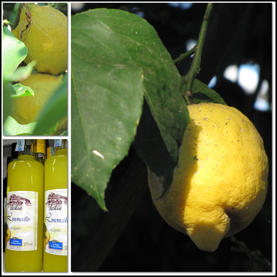 Zitronen...... Foto &amp; Bild | stillleben, food-fotografie, ischia ...