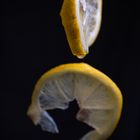 Zitronen Arrangement