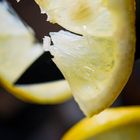 Zitronen Arrangement
