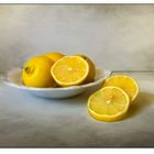 Zitronen auf Aquarellgrund