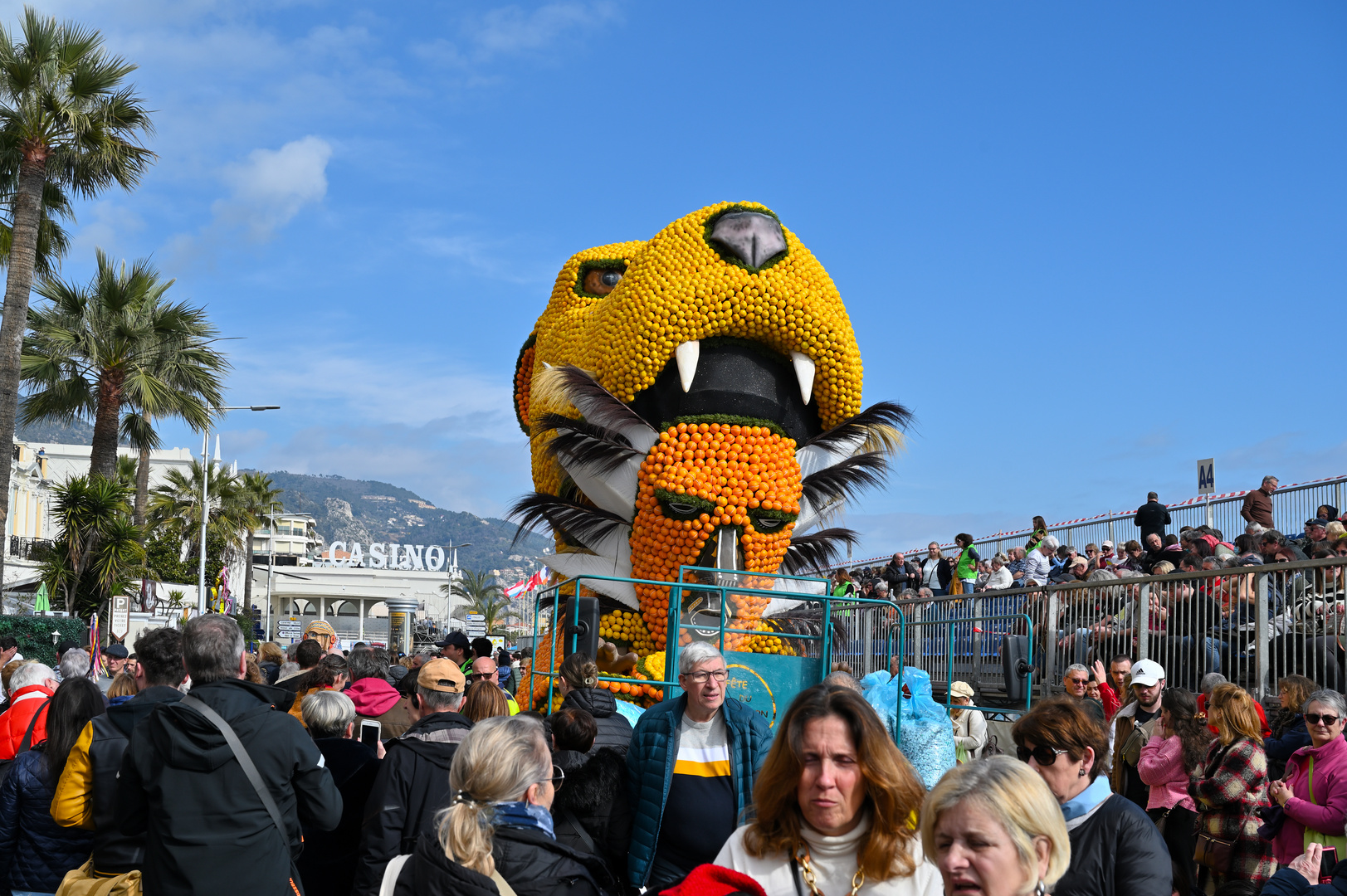 Zitronenfest: König der Löwen DSC_2520