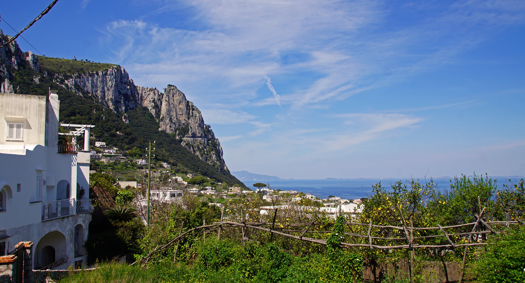 Zitronenhain auf Capri