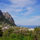 Zitronenhain auf Capri