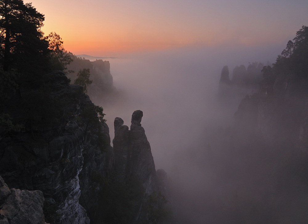 Zitronenkopf im Wehlgrund