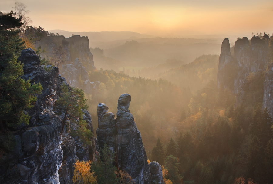 Zitronenkopf Test