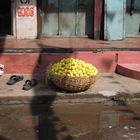 Zitronenkorb Südindien