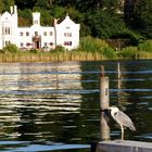 Zitronenschlösschen im Park Babelsberg