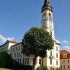 Zittau - Johanneum