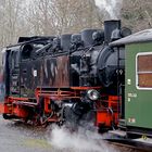 Zittau - Oybin - Jonsdorf - Bertsdorfer Bahnhof