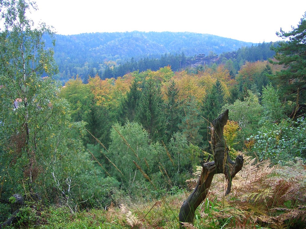 Zittauer Gebirge