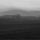 Zittauer Gebirge im Nebel