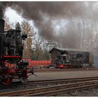 Zittauer Hofdame vor dem Bertsdorfer Heizhaus