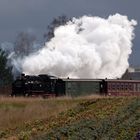 Zittauer Schmalspurbahn... mit Volldampf ins Wochenende