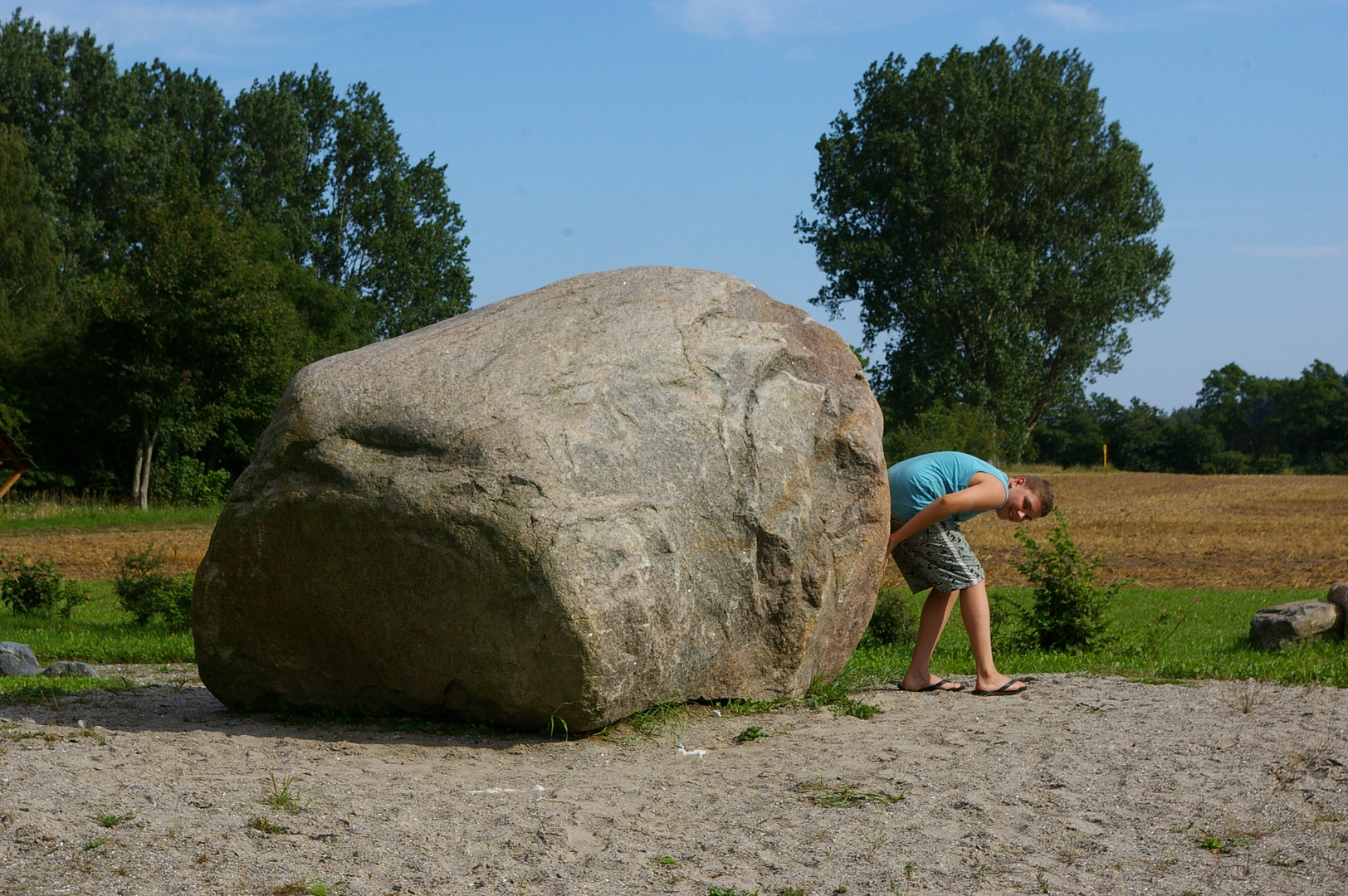 Zitterpenningshagen August 2009