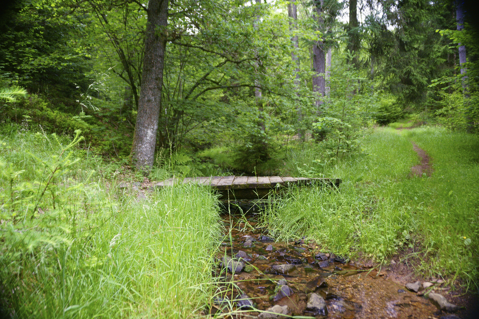 Zitzenbachtal Kreuztal Ferndorf