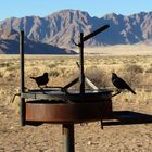 Zivilisation trifft Wüste. Am Rand der Namib. Namibia.