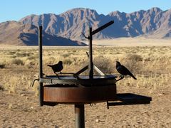 Zivilisation trifft Wüste. Am Rand der Namib. Namibia.