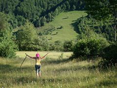 Zlatibor