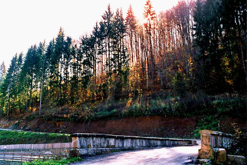 Zlatibor mountain