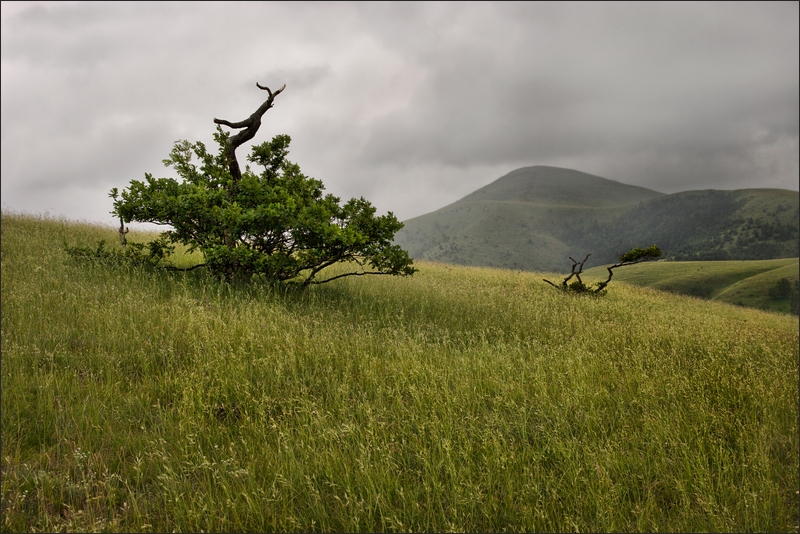 Zlatibor, Serbia