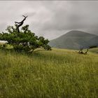 Zlatibor, Serbia