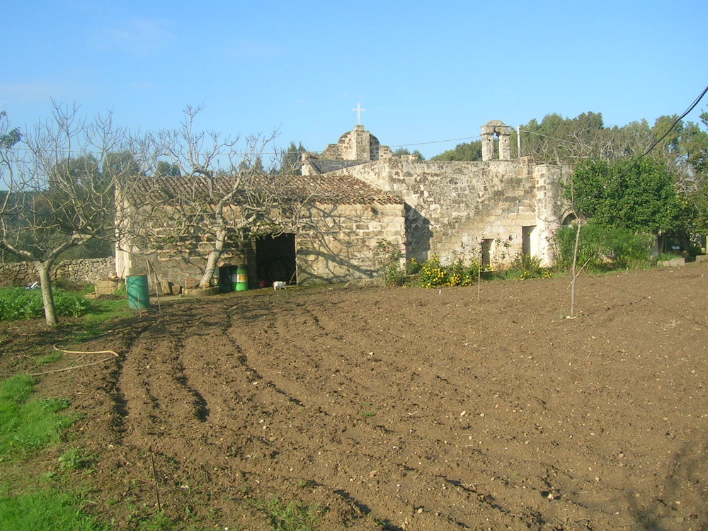 zoccaliu la mia campagna ruffano