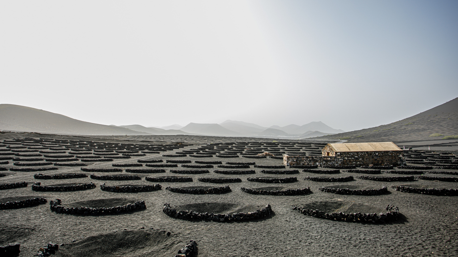 Zocos en Lanzarote