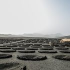 Zocos en Lanzarote