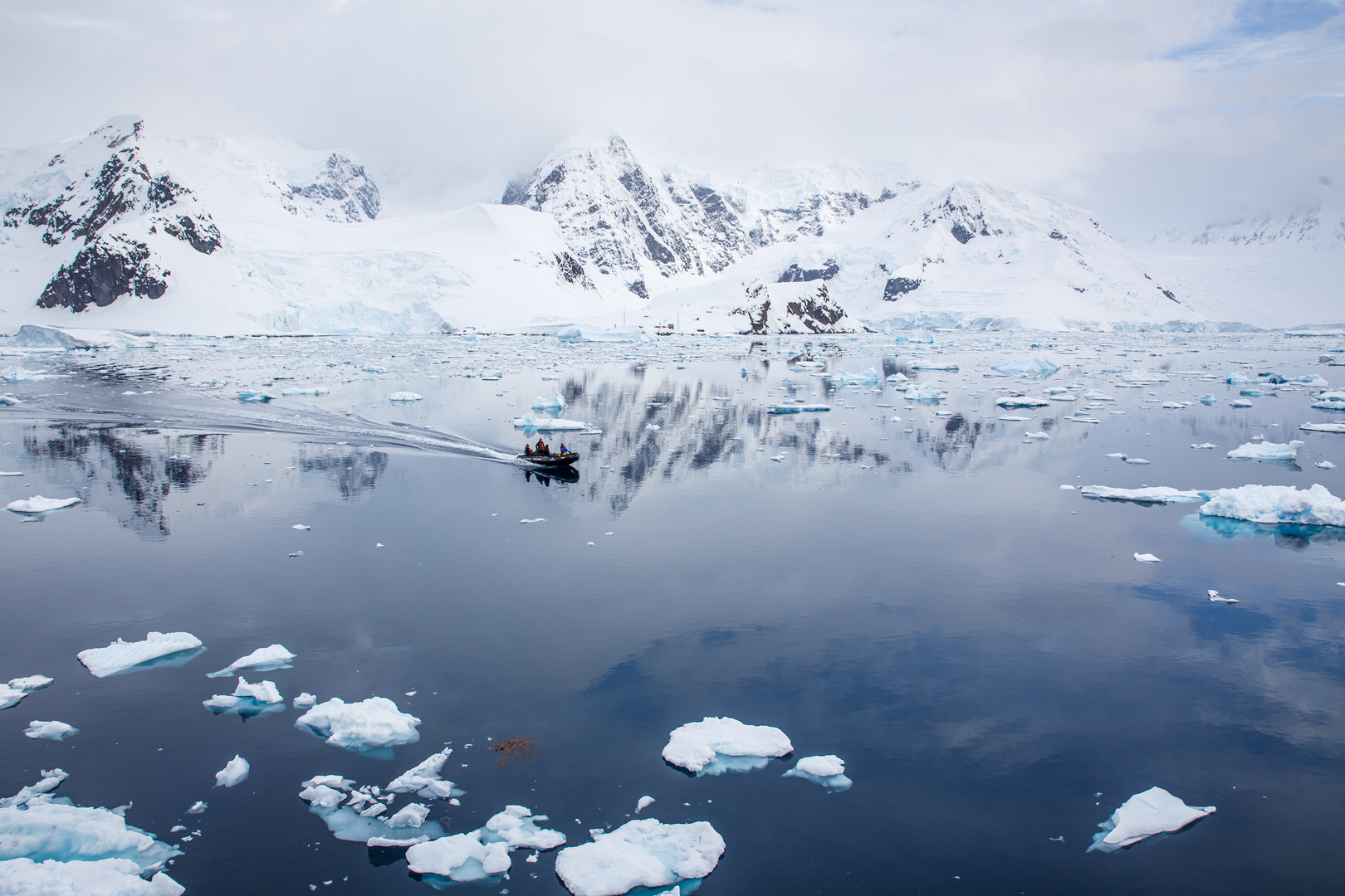 Zodiac cruise in the Antarctic