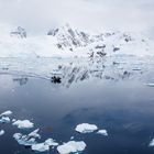 Zodiac cruise in the Antarctic
