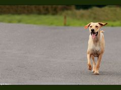 ** Zoe 747 ready for takeoff **