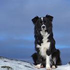 Zoe auf dem Brunhildisfelsen