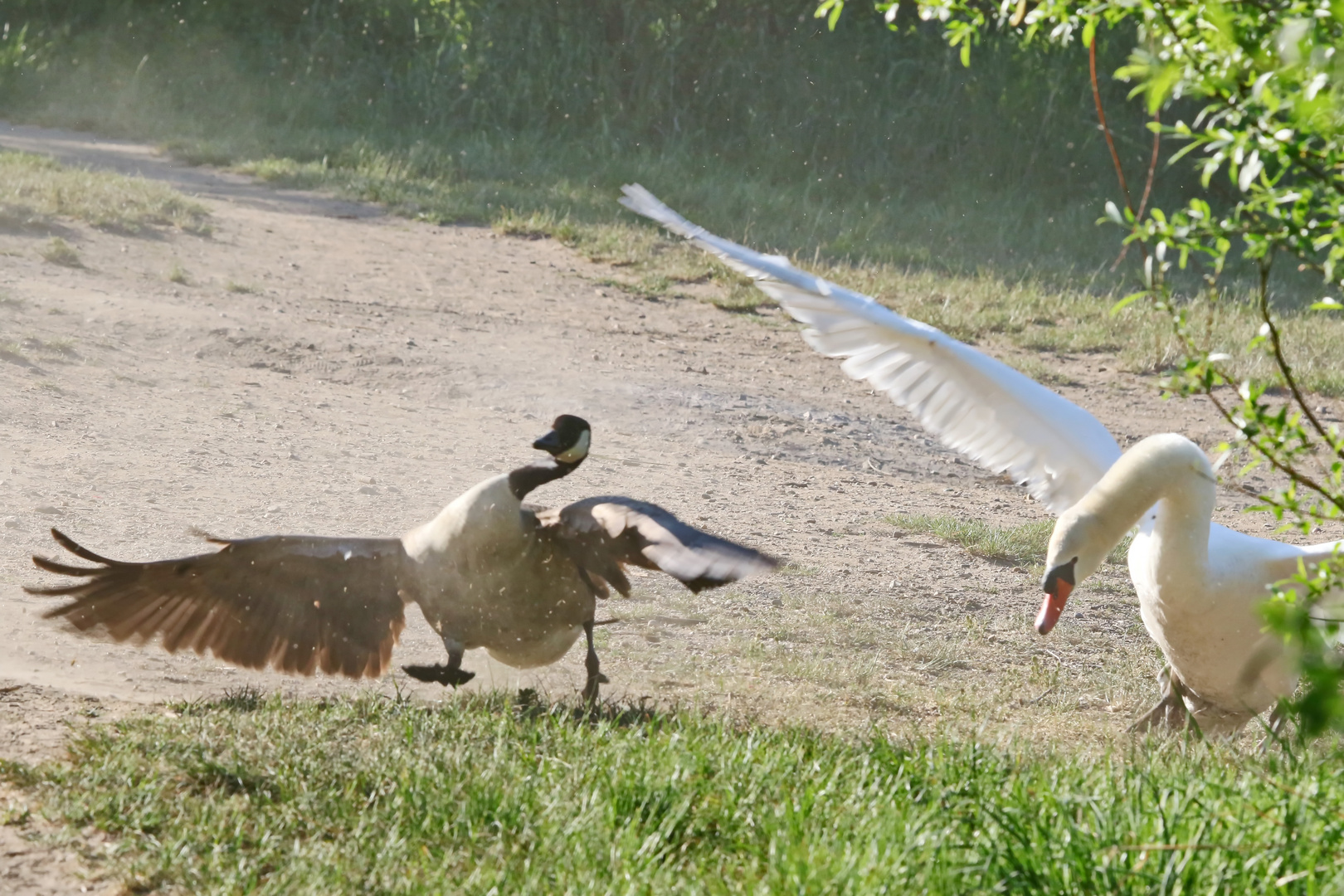 Zoff am See  Nr.3