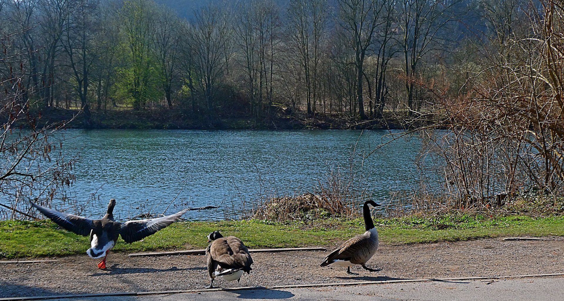 Zoff an der Ruhr