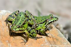Zoff in der Krabbelgruppe