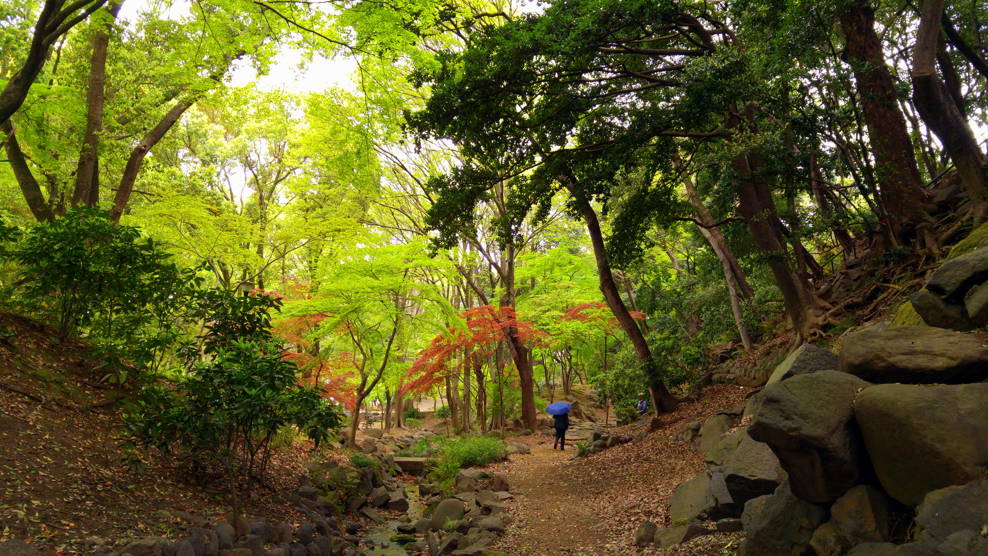 zojo-ji Park