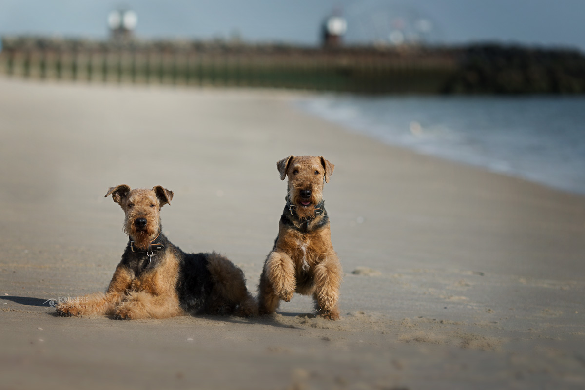 Zola & Frieda