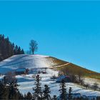 Zollbrück, Bagenschwand