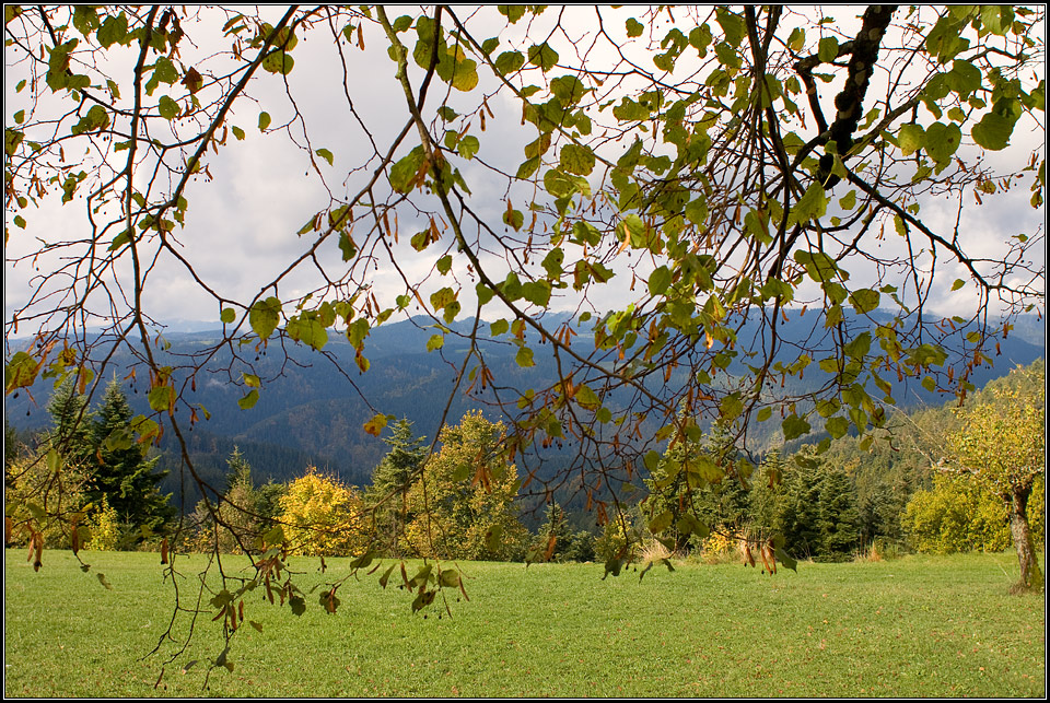 Zollhausblick