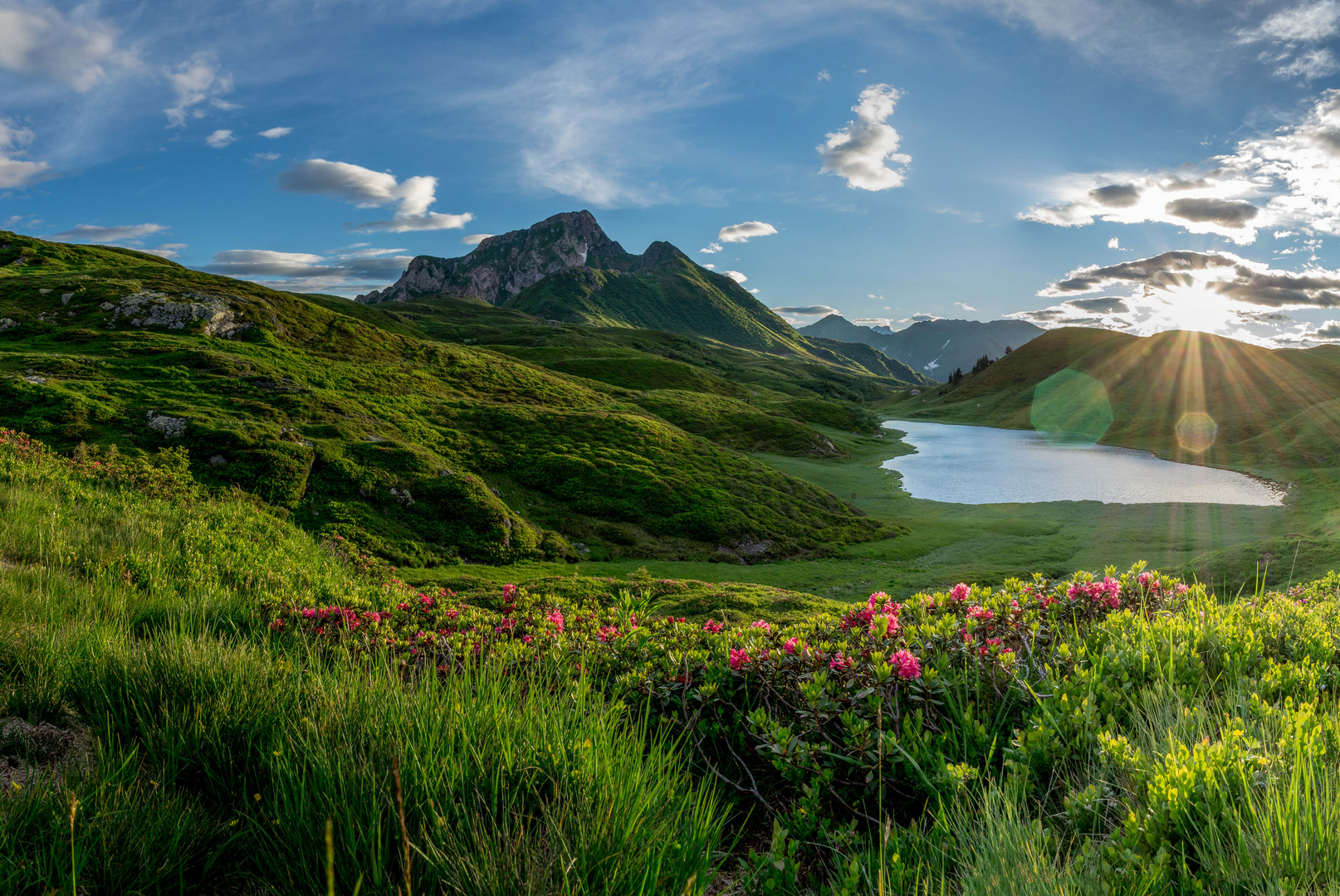 Zollner Alm