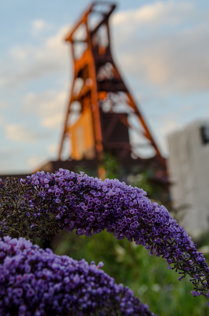 Zollverein