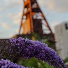 Zollverein