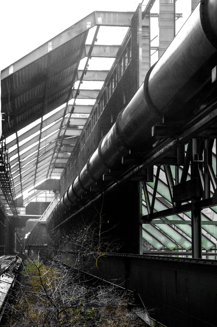 Zollverein-Conquest of nature 6