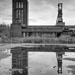 Zollverein Quadro