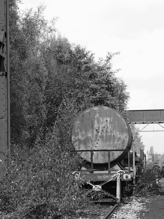 Zollverein SW 1