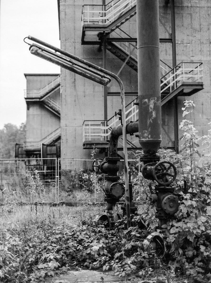 zollverein_6x4,5-011
