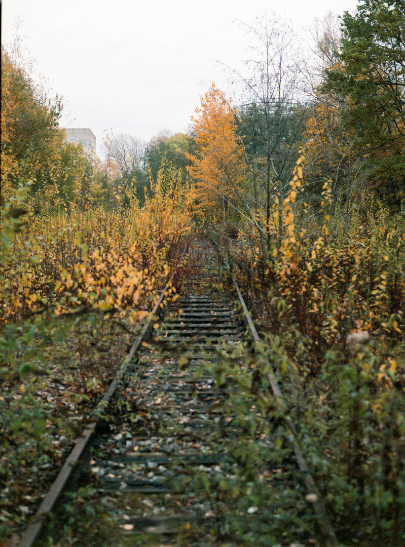 zollverein_agfa_portrait160-011